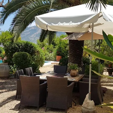 Naranjo Costa Blanca *