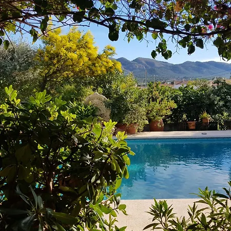 Naranjo Costa Blanca Villa L'Alfas del Pi