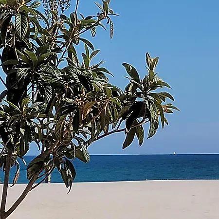 Naranjo Costa Blanca Villa