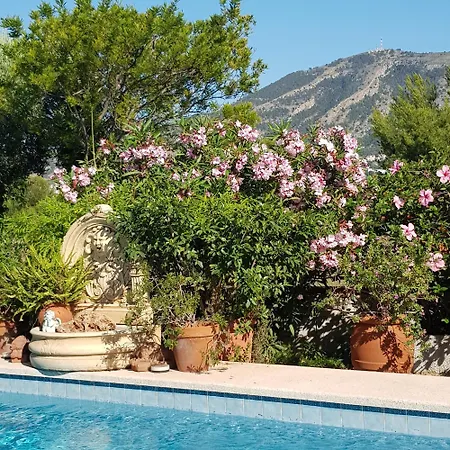 Naranjo Costa Blanca