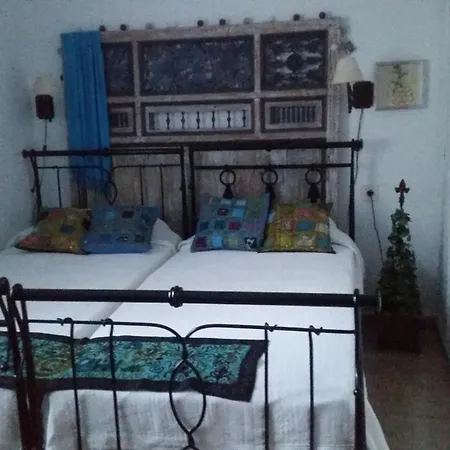 Naranjo Costa Blanca
