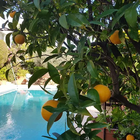 Naranjo Costa Blanca Villa