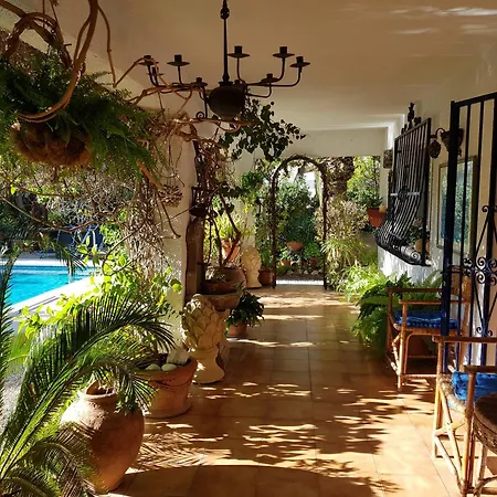 Naranjo Costa Blanca