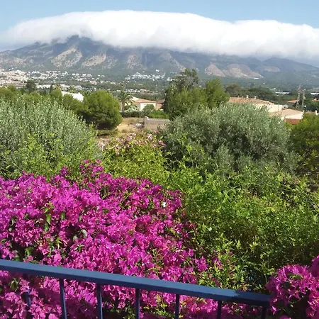 Naranjo Costa Blanca *