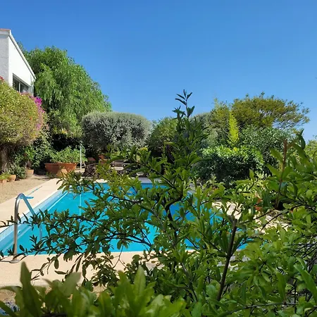 Naranjo Costa Blanca Villa L'Alfas del Pi