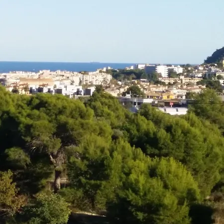 Naranjo Costa Blanca *