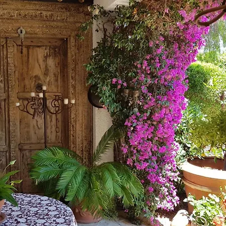 Villa Naranjo Costa Blanca L'Alfas del Pi