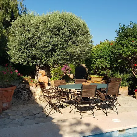 Naranjo Costa Blanca