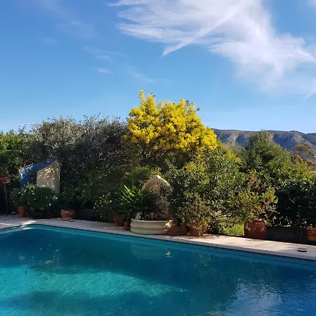 Naranjo Costa Blanca *