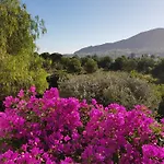 Naranjo Costa Blanca